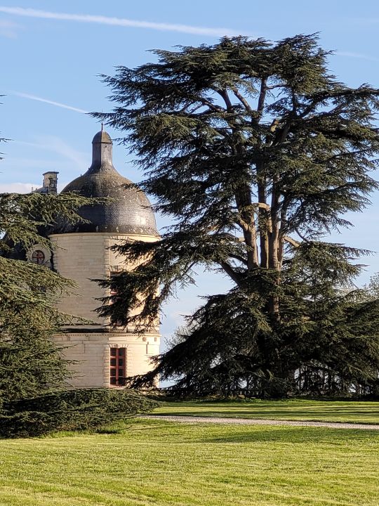 PLAINE ET VALLEES<br />Parc du Château d'Oiron PLAINE ET VALLEES<br />Parc du Château d'Oiron