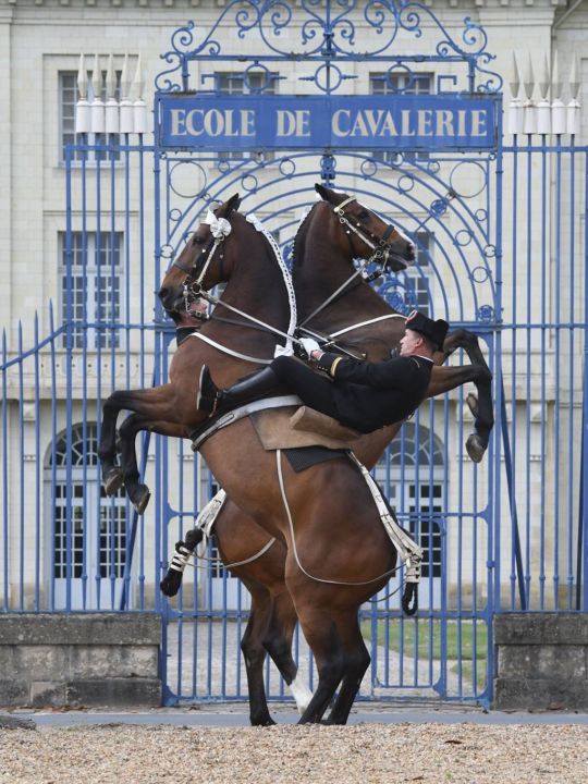 CITE DU CHEVAL - 45 mn de Oiron<br />Avec sa prestigieuse école militaire de cavalerie, le Cadre Noir de Saumur, son carrousel et son musée.<br />Plus d'info : https://www.ifce.fr/cadre-noir/ CITE DU CHEVAL - 45 mn de Oiron<br />Avec sa prestigieuse école militaire de cavalerie, le Cadre Noir de Saumur, son carrousel et son musée.<br />Plus d'info : https://www.ifce.fr/cadre-noir/
