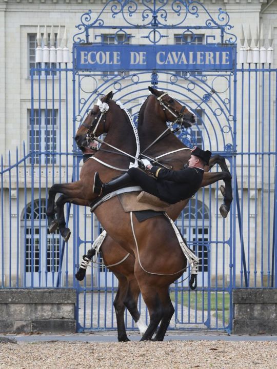 CITE DU CHEVAL - 45 mn de Oiron<br />Avec sa prestigieuse école militaire de cavalerie, le Cadre Noir de Saumur, son carrousel et son musée.<br />Plus d'info : https://www.ifce.fr/cadre-noir/